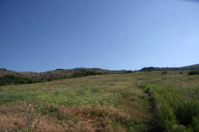 Прикрепленное изображение: IMGP6545.jpg